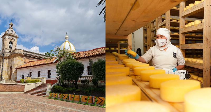 El emblemático queso Paipa está en riesgo por la crisis de lecheros en Colombia